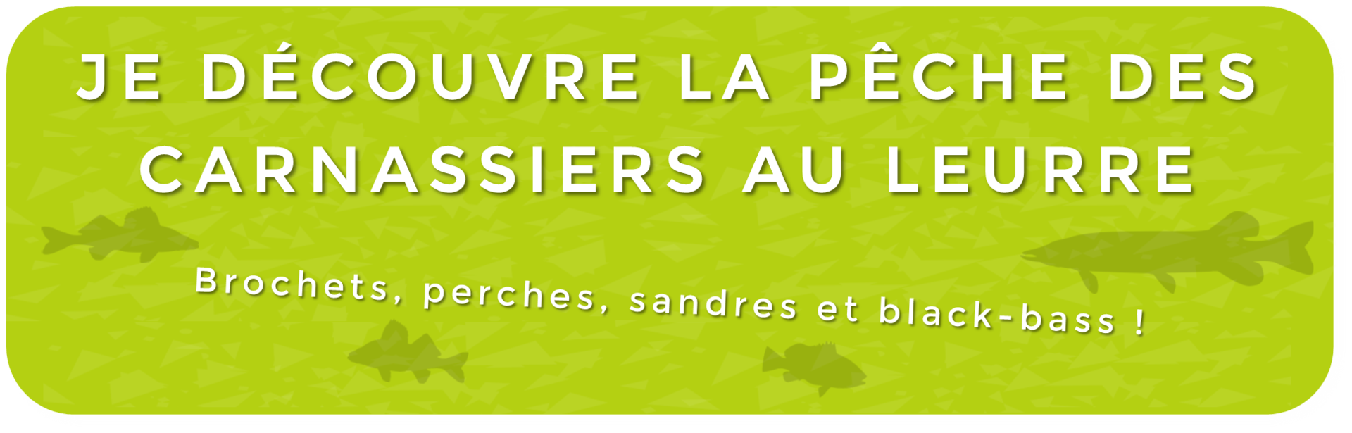 Pêche des carnassiers: choisir la meilleur technique de pêche ! Leurre