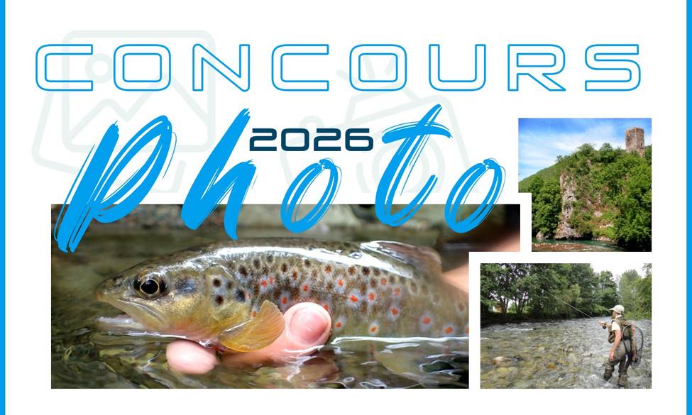 CONCOURS PHOTO