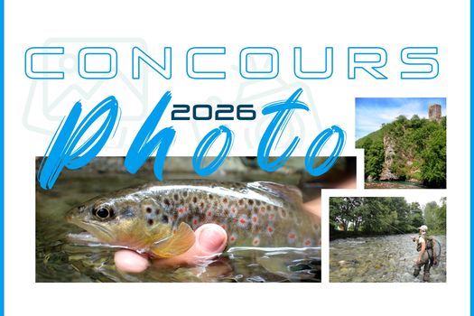CONCOURS PHOTO